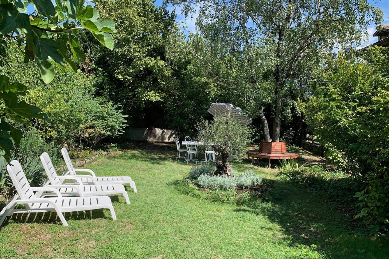 Cirillo Apartment Cortaccia